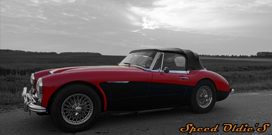 Black and white red ancienne photo Austin Healey entretien reparation 28 91 78 Champseru Chartres Rendez vous Reine Rambouillet