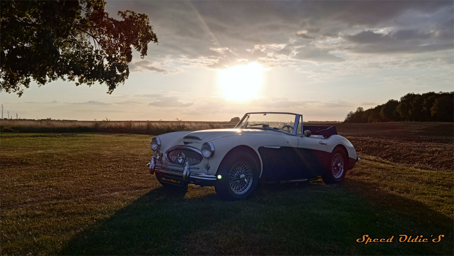 Austin Healey entretien réfection restauration reparation 28 91 78 Champseru Chartres Versailles Paris Chateau Rambouillet